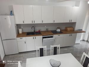 Kuchyňa alebo kuchynka v ubytovaní Apartameny Wiktoria i Nikola w Karwiku