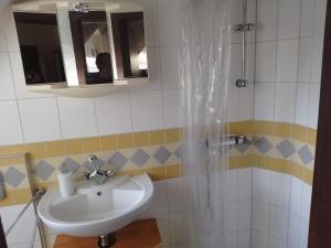 ein Bad mit einem Waschbecken und einer Dusche in der Unterkunft 1 Zimmer Appartement direkt am Schwielowsee in Neue Scheune