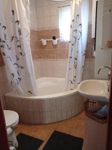 a bathroom with a tub and a toilet and a sink at BORINA VENDÉGHÁZ in Sátoraljaújhely +28 photos