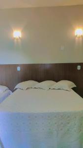 博尼圖的住宿－Pousada Rancho Bonito，卧室配有一张带两盏灯的墙壁床。