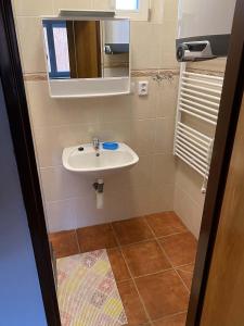 a bathroom with a sink and a mirror at Chalupa Juli in Velké Karlovice