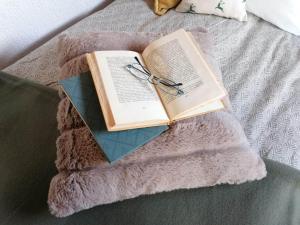 a book and a pair of glasses sitting on a blanket at Gemenc Vendégház Baja in Baja +42 photos
