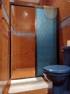 a bathroom with a blue toilet and a shower at Mi Depa Cascada in Ciudad Valles