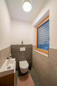 a bathroom with a toilet and a sink and a window at Apartment Hoflacher in Schwendau