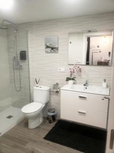 y baño con aseo, lavabo y ducha. en Loft Apartamento Sevilla 16, en Alicante