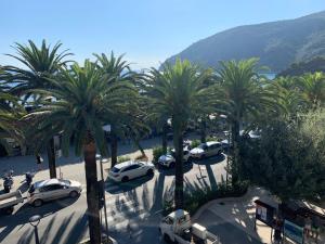 a group of palm trees and cars parked in a parking lot at Il cuore di Moneglia - MONEGLIA APARTMENTS in Moneglia +30 photos