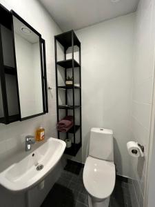 ein Badezimmer mit einem Waschbecken, einem WC und einem Spiegel in der Unterkunft Savi Apartment 3 in Pärnu