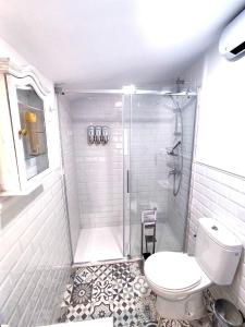 een badkamer met een douche en een toilet bij Munigua House in Villanueva del Río y Minas