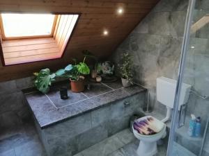 a bathroom with a toilet and plants on a counter at Ferienwohnung Zum Moor in Monschau