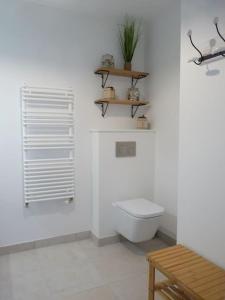 ein weißes Bad mit einem WC und einem Fenster in der Unterkunft TY DOLMEN DU Plages à pied 2 vélos WIFI in Carnac