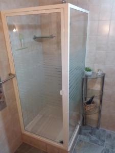 La salle de bains est pourvue d'une douche avec une porte en verre. dans l'établissement Ferìenwohnung Mende 2, à Lübbenau