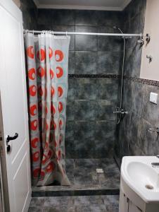 cortina de ducha en el baño con lavamanos en Casa Gregores 2, en Gobernador Gregores 26 fotos más