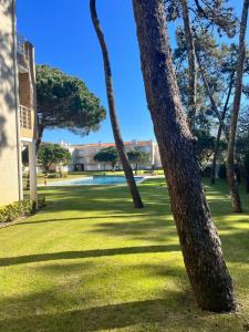 a group of palm trees in a grass field at Casa Praia Ofir in Esposende