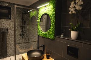 a bathroom with a shower with a mirror and a toilet at MJ Apartment in Lupeni