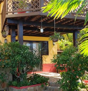 Ein Haus mit einem Haufen Pflanzen davor. in der Unterkunft Casa Serena in Pipa