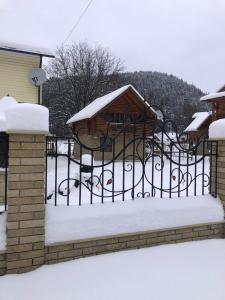 Una puerta de hierro forjado con nieve. en Yablunevyi Tsvit, en Yaremche