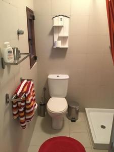 a bathroom with a white toilet and a red rug at studio apartment with pool in house of character. in Birkirkara