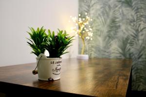 Fotografie z fotogalerie ubytování B&B DEGLI ANGELI v destinaci Lecce