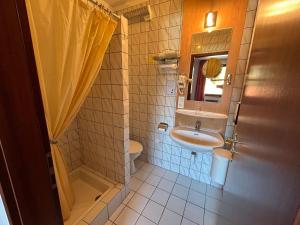 La salle de bains est pourvue d'un lavabo, de toilettes et d'un miroir. dans l'établissement Auberge Des Mésanges, à Meisenthal