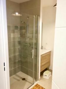 a shower with a glass door in a bathroom at TY DOLMEN DU Plages à pied 2 vélos WIFI in Carnac