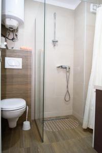 a bathroom with a toilet and a shower at Apartmani Leki in Kopaonik