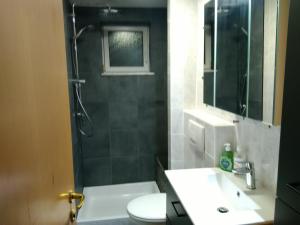 een badkamer met een douche, een toilet en een wastafel bij Appartement am Rondell in Hösbach