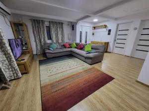 a living room with a couch and a tv at Elis Tranzit in Ogrăzile