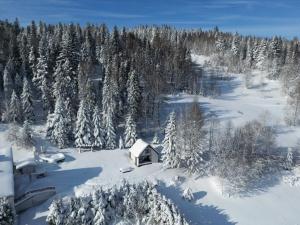 科尔别卢夫Cerla Korbielów - Domek dla Dwojga的雪覆盖的森林中的小屋