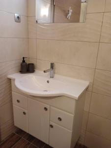 een badkamer met een witte wastafel en een spiegel bij Apartments Otašević in Kranjska Gora