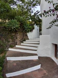 a set of stone steps leading up to a building at Finca Riolavar in Jubrique