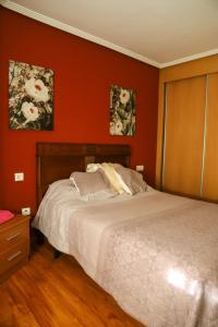 1 dormitorio con 1 cama con paredes rojas en Casa MJ, en Béjar