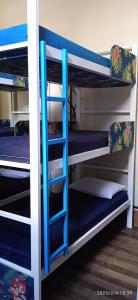 a group of bunk beds with blue shelves in a room at Lapa Casa Hostel in Rio de Janeiro