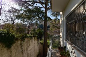 vistas a un árbol desde el balcón de una casa en Gold Medals Flat en Roma
