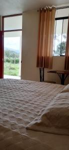 1 dormitorio con 1 cama grande y ventana grande en Catalina Huanca Resort, en San Jerónimo