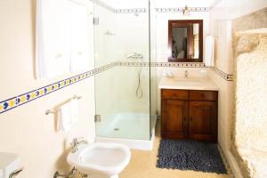 ein Bad mit einer Dusche, einem Waschbecken und einem WC in der Unterkunft Quinta de Malta in Durrães