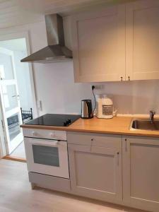 - une cuisine avec un évier et un comptoir dans l'établissement Cosy groundfloor apartment, à Sørvágur