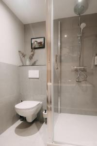 uma casa de banho com um chuveiro, um WC e um lavatório. em Witte Berken Natuurhotel em Epe