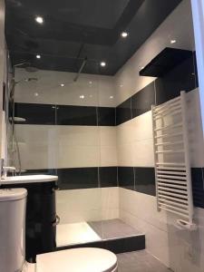 uma casa de banho com um WC e um lavatório em Appartement moderne 2 pièces em Cagnes-sur-Mer