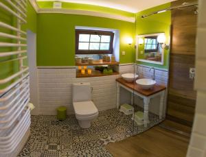 a green bathroom with a toilet and a sink at Dom Sielski w Górach Stołowych in Radków