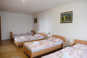 Postel nebo postele na pokoji v ubytování Prenoćište Džinić