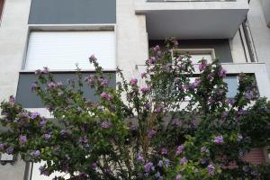 een bos met paarse bloemen voor een gebouw bij Coqueto alojamiento cercano a las termas in Ourense