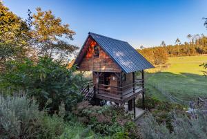 una casa sull'albero con un tetto solare in un giardino di Vale da Silva Villas - Quinta ad Albergaria-a-Velha