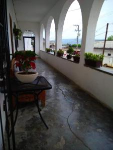 a room with arched windows and a table with potted plants at LOS ARCOS in Agua Buena
