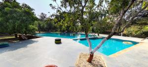 Bazén v ubytování Amraness Luxury Resort Sasan Gir nebo v jeho okolí