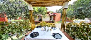 Zahrada ubytování Amraness Luxury Resort Sasan Gir