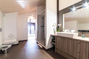 uma casa de banho com um lavatório, um WC e um espelho. em Chalet Genepi - spectacular ski and summer home em Saint-Gervais-les-Bains
