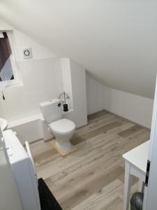a bathroom with a toilet and a wooden floor at Ferienhaus Brise Ostsee in Kalkhorst