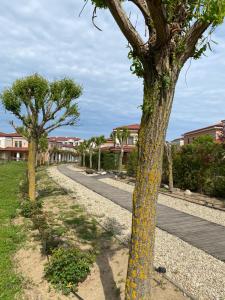 dos árboles a un lado de una carretera en Луксозно студио 3G в Green Life Beach Resort en Sozopol