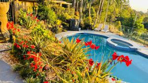 een zwembad met rode bloemen naast een huis bij Como Guest Suite in Gold Coast