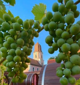 een bos groene druiven voor een kerk bij Schlafen im Weinfass in Ipsheim